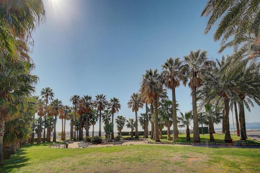 Ferienwohnung Le Palm - 100M Plage - Croisette - Verriere Cote D'Azur Cannes Exterior foto